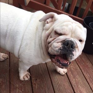 Meet your Posher, Hina